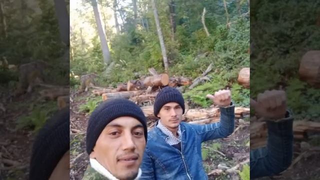 мухамат али уз фото смотреть онлайн