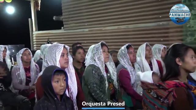 ORQUESTA PRESED MUSIC CONCIERTO смотреть онлайн