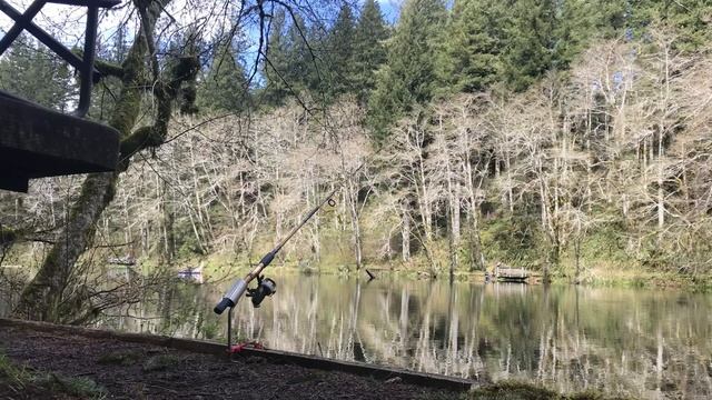 Three day camping trip at Hebo lake in Hebo oregon смотреть онлайн