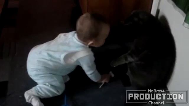 дети играют с кошками смотреть онлайн