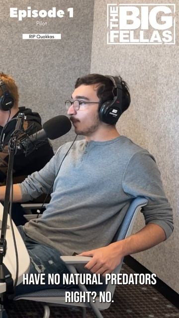 TBF Clip: RIP Quokka's #shorts смотреть онлайн