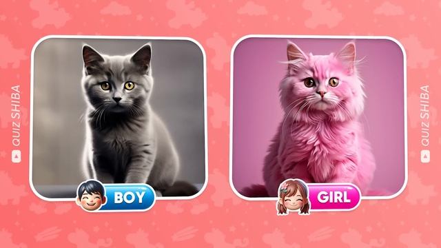 Choose One Button! BOY or GIRL Edition 💙🎀 Quiz Shiba смотреть онлайн