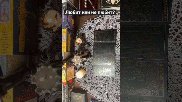 Любит, не любит 🔥🔥🔥Погадает на ромашке🤍🌸🍀