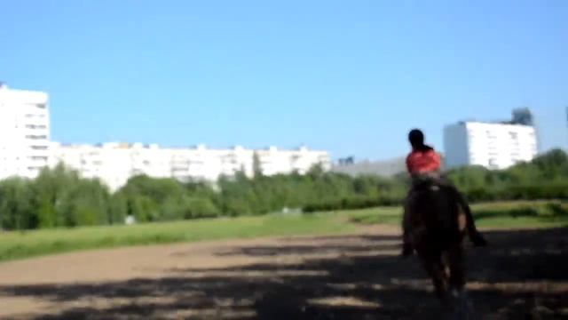 Наша тренировка / Коновлог