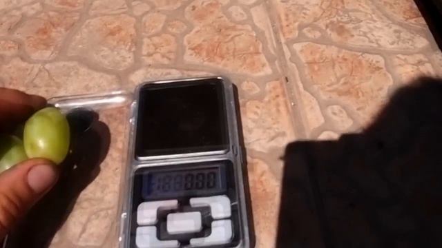 Иллария 2017г. смотреть онлайн