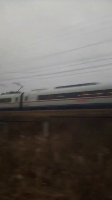 сапсан Москва смотреть онлайн