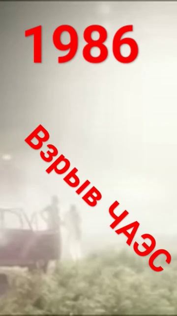 откуда ноябрьский медведь 2026? смотреть онлайн