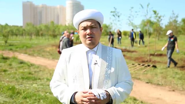 Посади свое дерево во имя жизни смотреть онлайн