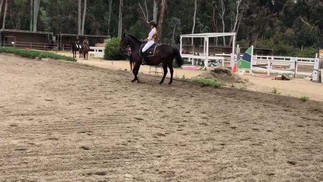 Lilith Ehrich_ Novice B online test_ Hache_5/3/2020 смотреть онлайн