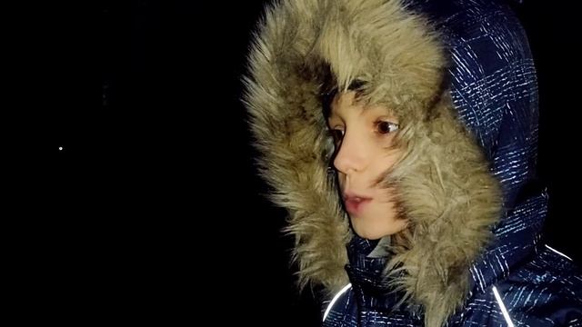 Дом собак 2 сезон первая серия