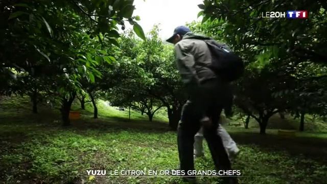 Document sur le Yuzu смотреть онлайн