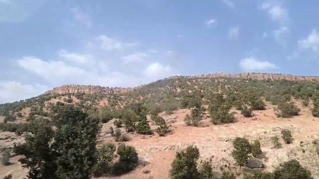 A Heartfelt Struggle: Engineer's Quest to Free His Father смотреть онлайн