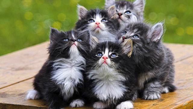 Шикарный медляк 2014. Невероятное видео. Посмотрите! смотреть онлайн