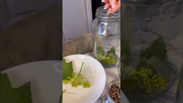 Қыстын қамын жазда ойлан диді гой банкі Огурцы жабу басталды😉😉😉 смотреть онлайн