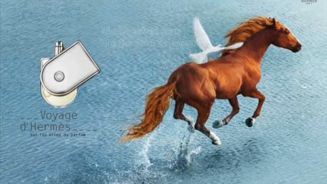 Voyade D'hermes - Musique pub, music ad - Other Version смотреть онлайн