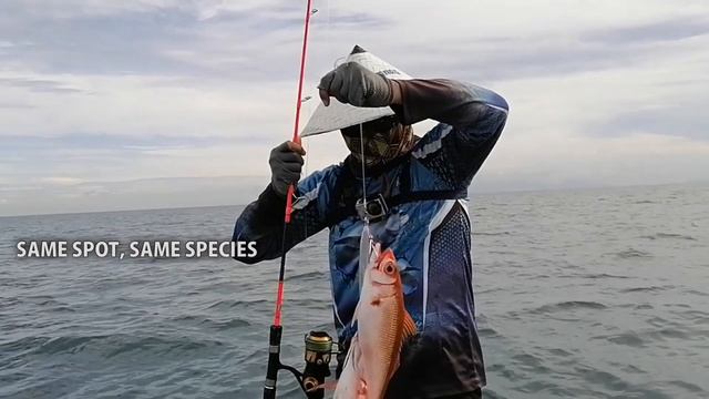 Double Hook Up Ruby Snappers смотреть онлайн