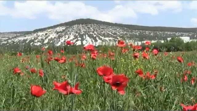 "SAHARA - BEST OF THE BEST!!!" смотреть онлайн