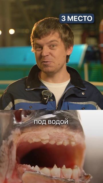 5 САМЫХ ЖУТКИХ рыб на планете. Если встретишь — плыви прочь! #рыба #животные #природа #рыбалка #рыбы смотреть онлайн