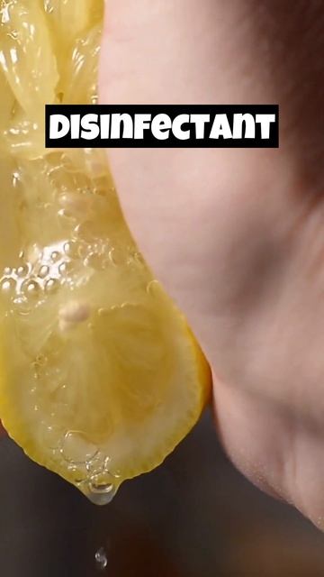 Sour but Super: 5 Remarkable Lemon Facts to Blow Your Mind смотреть онлайн