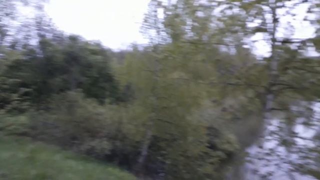 Майский концерт соловьев в Подмосковье. смотреть онлайн