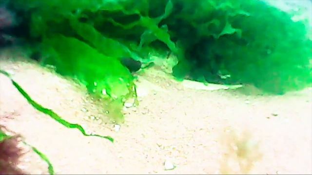 below H20 смотреть онлайн