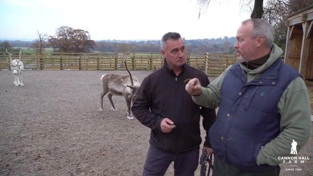 Cannon Hall Farm TV Episode 7 смотреть онлайн