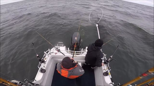 Vänern syksy 2018 osa 1 смотреть онлайн