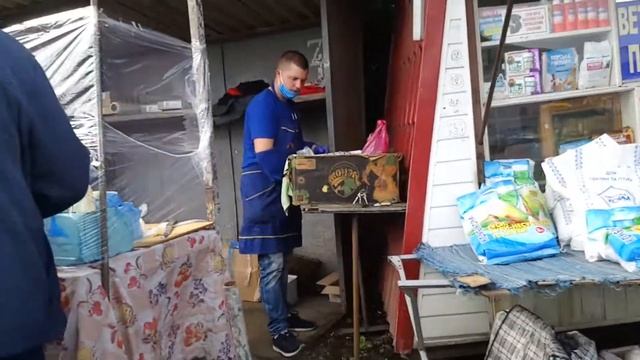 Горохов - рынок во время карантина / м.Горохів ринок під час карантину 6.06.2020 смотреть онлайн