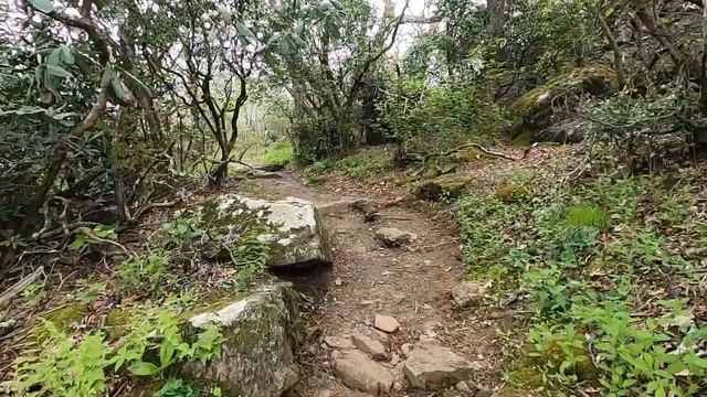 Day Hike: Wolfpen Gap to Blood Mountain! смотреть онлайн