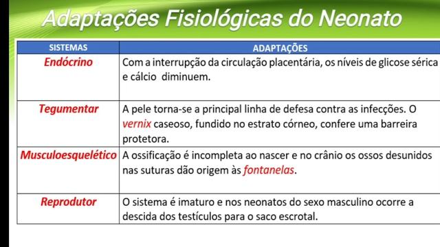 Enfermagem em Pediatria - aula 1 - Turma Gandu смотреть онлайн