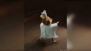 Meme Dorime. Ratinho Dorime Remix
