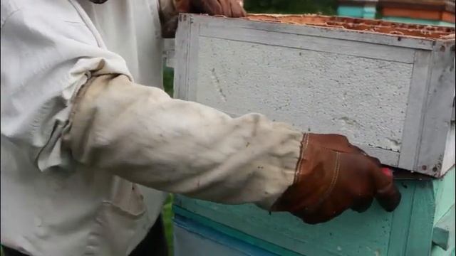 Августовский мед Пасека Малухи смотреть онлайн