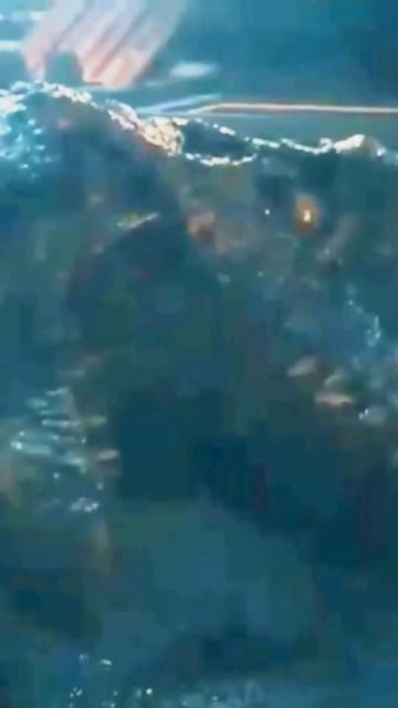 #jurassicworld morte de todos смотреть онлайн