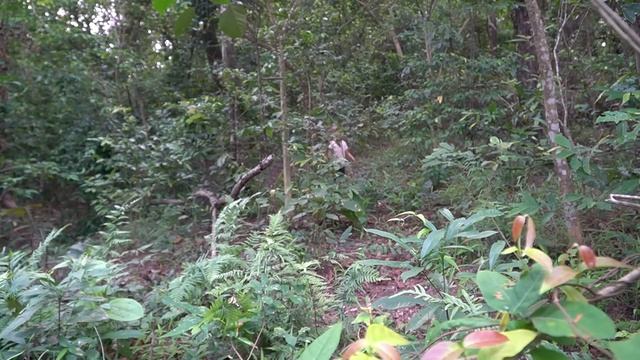 Single Mom: Endless Pain, Found My Son In The Unconscious - Loss In Pain | Hard Life