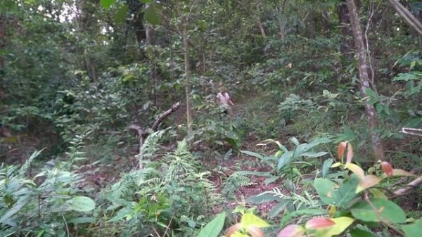 Single Mom: Endless pain, Found My Son In The Unconscious - Loss in Pain | Hard Life