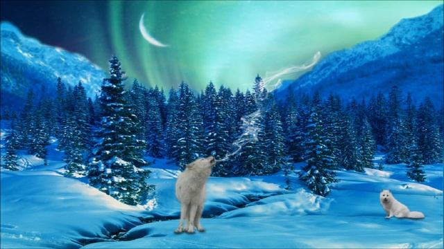 Beautiful Winter Music Aurora Borealis YouTube смотреть онлайн