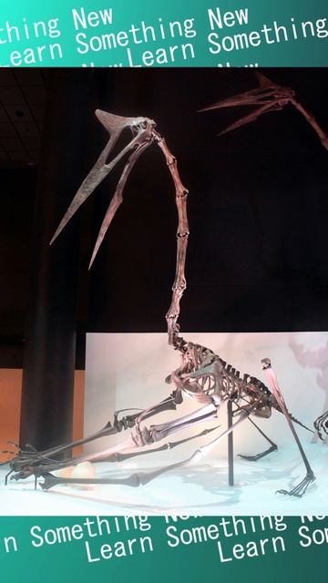 Quetzalcoatlus: The Giant of the Skies смотреть онлайн