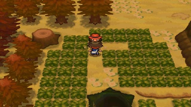 Let's Play Pokémon Weiß 2 - Part 32: Versteckte Lichtung смотреть онлайн
