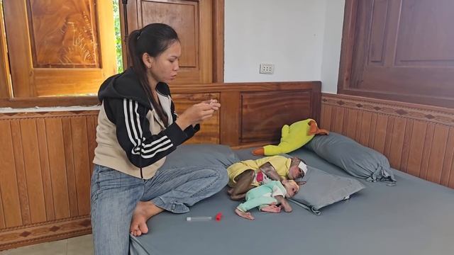 Unbelievable😂Monkey Su naughty asked Kuku pretend sick to stop mom... смотреть онлайн