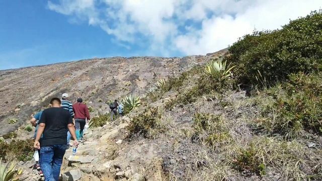 volcán ilamatepec delia dejó perdido al burro de jorge смотреть онлайн