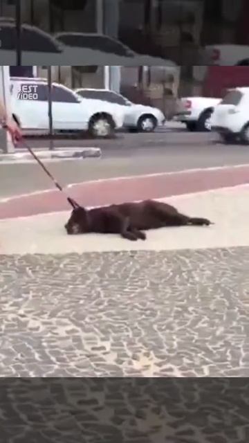 Надо уметь гнуть свою линию