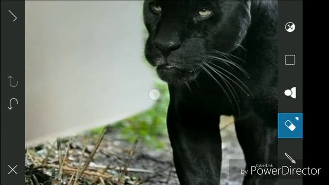 How to make black panther 3d image in PicsArt смотреть онлайн