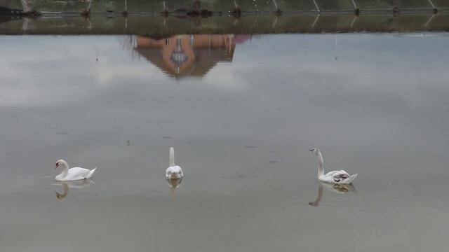 #Targu_Jiu #Insulita. @dumitrudita1312 (3)