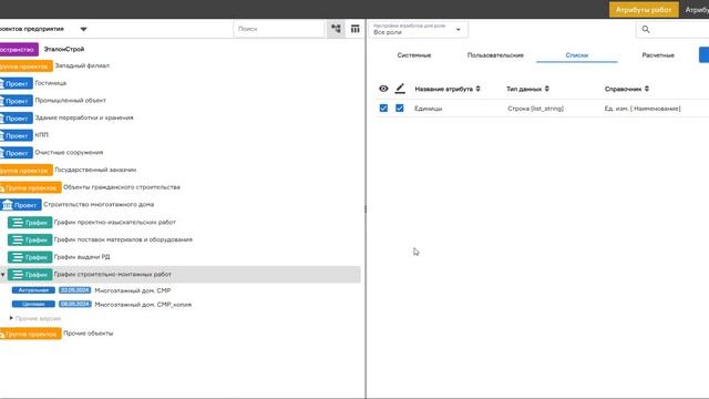 Создание пользовательских атрибутов структуры проектов и графика. Руководство Plan-R. Часть 15 смотреть онлайн