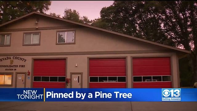 Large Tree Being Cut Down Lands Home, Pinning Man In Bed смотреть онлайн