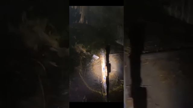 Идёт охота на крыс, идёт охота! смотреть онлайн