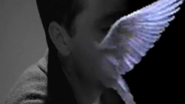 Behruz Ozan Firuza KB