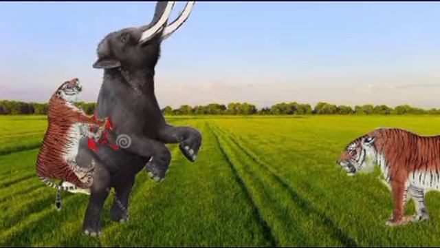 palaeoloxodon antiquus vs caspian tiger смотреть онлайн