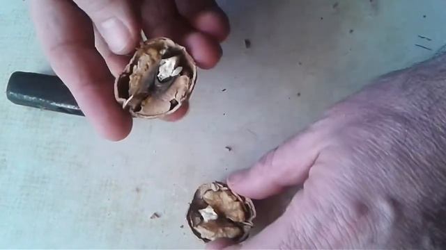 Як правильно бити грецькі горіхи смотреть онлайн