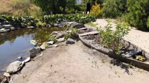 Ботанический сад Челябинского государственного университета или в поисках суслика